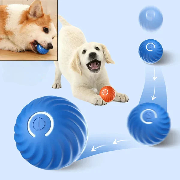 Interactive Bouncing Ball