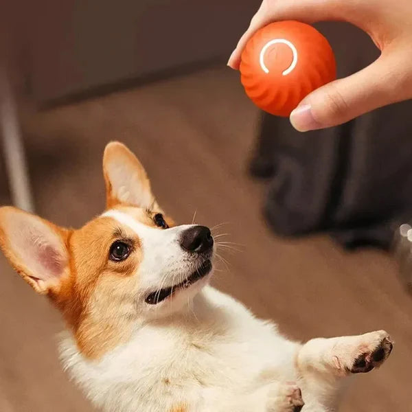 Interactive Bouncing Ball